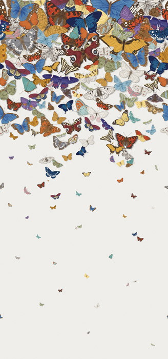 white beautiful butterfly wallpaper pattern image