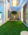 Courtyard lighting highlighting feature planting with clean architectural lines and warm interior glow