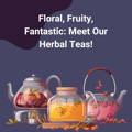 muave tea shop - herbal tea collection - floral, fruity, fantastic