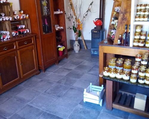 Food & Wine Tours Lucca: Organic farm experience: savoring flavors & culinary secrets