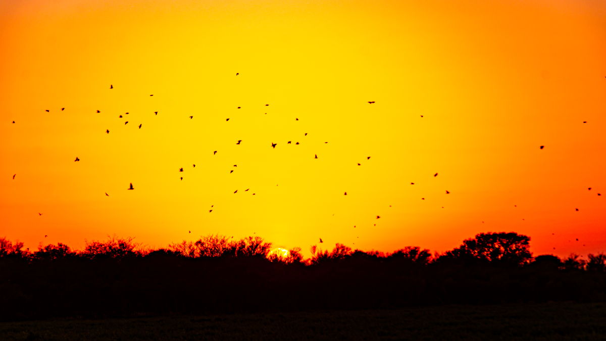 Córdoba sunset over the Pampas