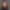 My Profile Picture
