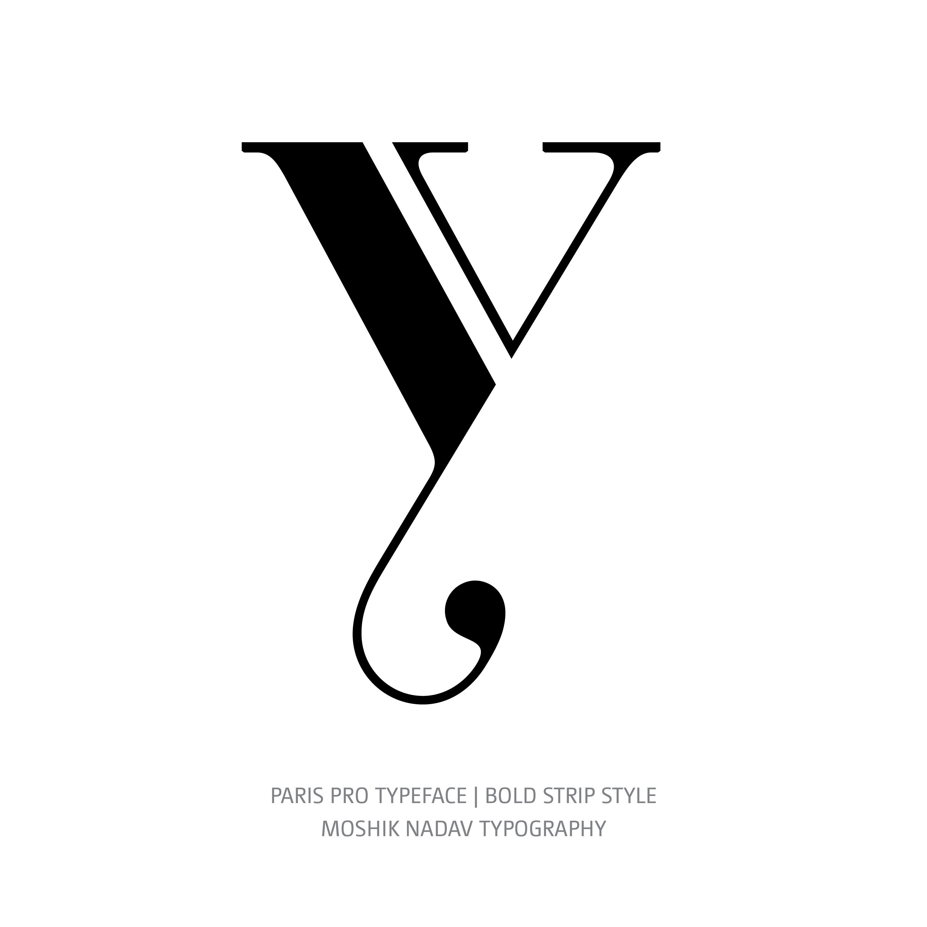 Paris Pro Typeface Bold Strip y