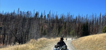 Big Belt Mountains Experience  near Townsend, MT