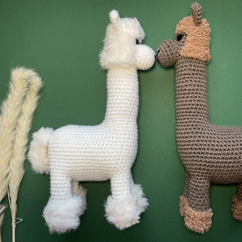 Alpaca