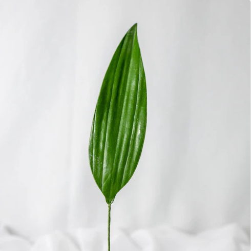Lilium Leaf (12 Pack) - Realistic Artificial Flowers - Image 2