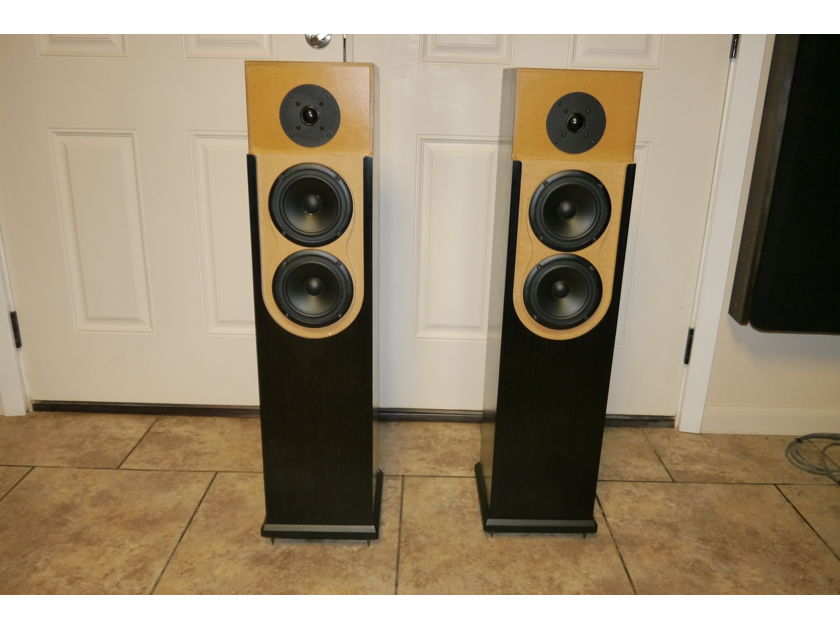 Meadowlark speakers American Eagle floorstanding Made in USA true audiophile