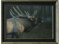 Elk Print on Canvas by Dan Smith