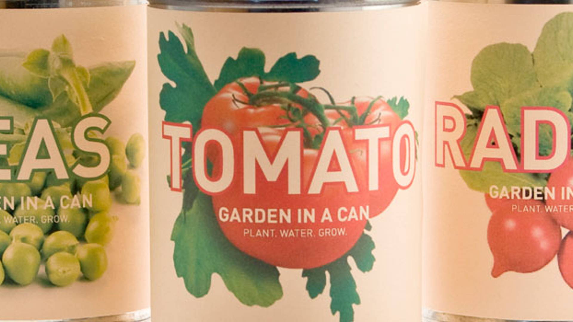 Featured image for Student Spotlight: Garden In A Can