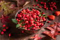 Rosehip