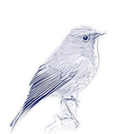 Clean Sketch (Чистый Эскиз) - экшен набросков в Фотошоп