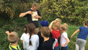 bauernhof gut halfeshof kühe auf weide vorm hof