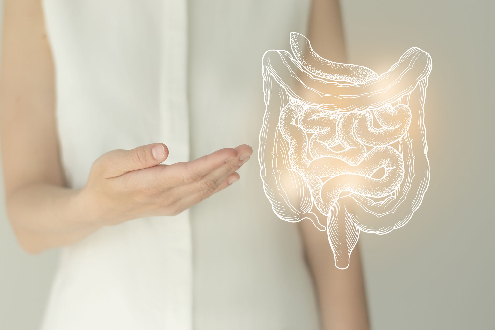 What Foods Should Be Avoided With SIBO? -