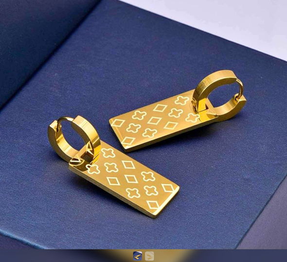 Titanium Earrings