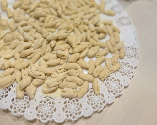 Cooking classes Bologna: Apulian cooking class in Bologna
