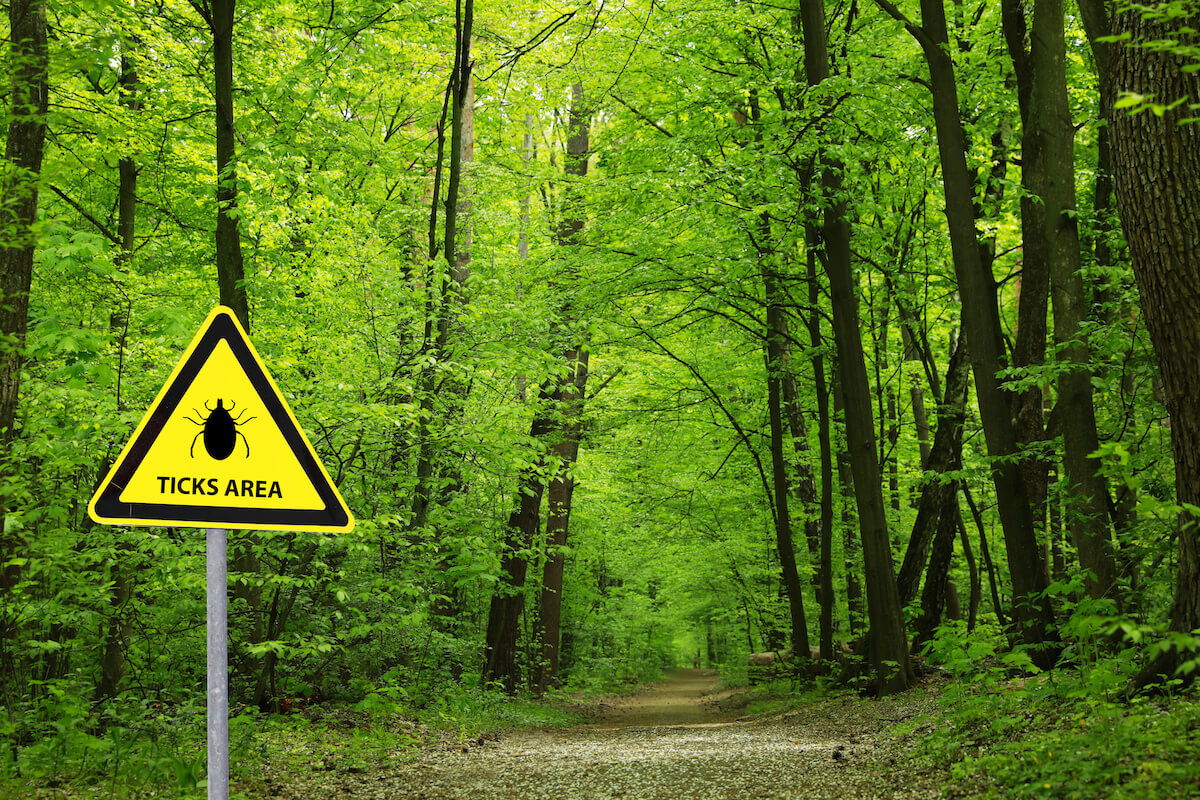 Do You Have These Unusual Symptoms of Lyme Disease? -