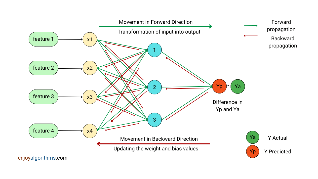 Multiple rounds of forward and backward propagation happens while training an artificial neural network