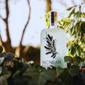 Bouteille de Gin Botanical Spirit de la distillerie Nc'Nean posée dans des feuillages