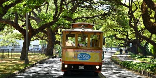 Waikiki Trolley promotional image