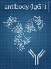 Overlooked Autoimmunity Can Cause Chronic Illness – What You Can Do -