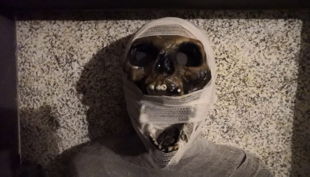 live escape mumie pharao