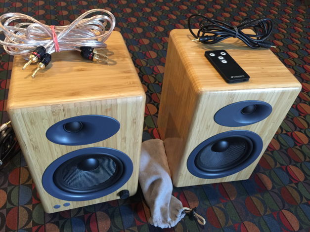 Audioengine A5+ Power Speaker---Bamboo---Mint ---Pair