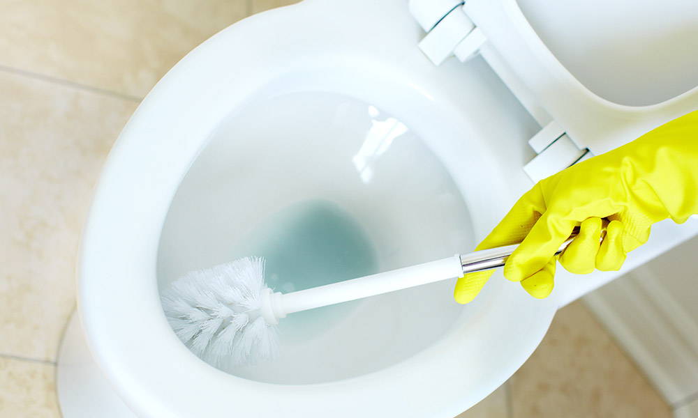 castile soap toilet cleaner