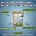 Mehr Mobilität - weniger Schmerz