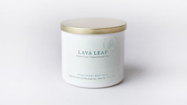 Lava Leaf—BUDS Plant Boutique Signature Scent Candle