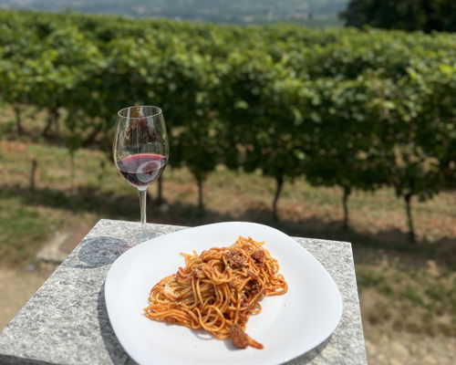 Esperienze gastronomiche Vinovo: Viaggio nel Piemonte all'insegna del gusto e del buon vino