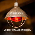 hanging-heat-lamp-in-chicken-coop hanging-heat-lamp-in-chicken-coop
