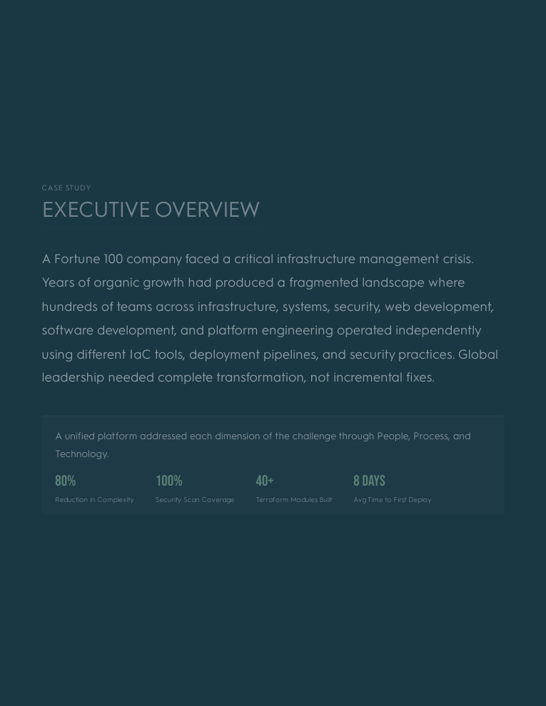Government it projects developers developer - Matt M.'s portfolio image