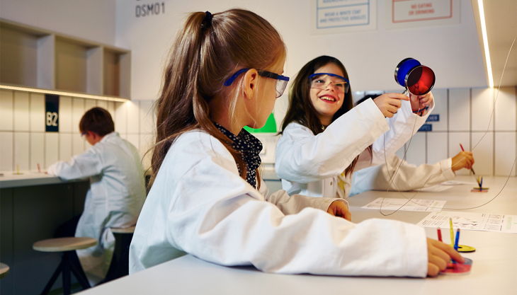 dsm kinderlabor e rgb