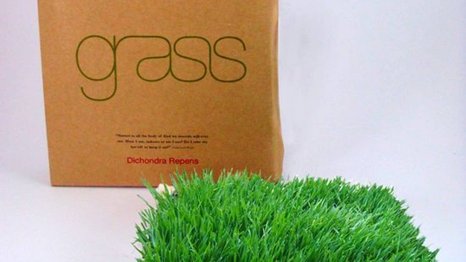 Featured image for Grass