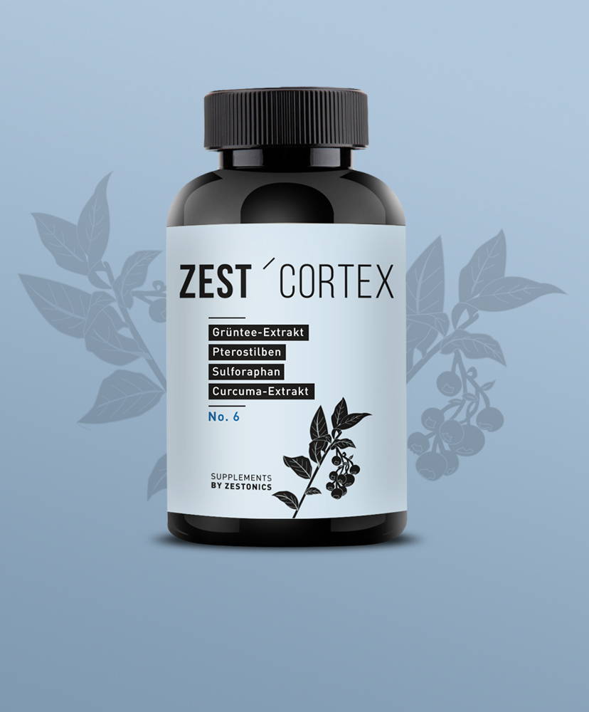 zestonics zest'cortex