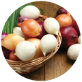 red and white onions as a source of Prebiotics in the best probiotics in singapore