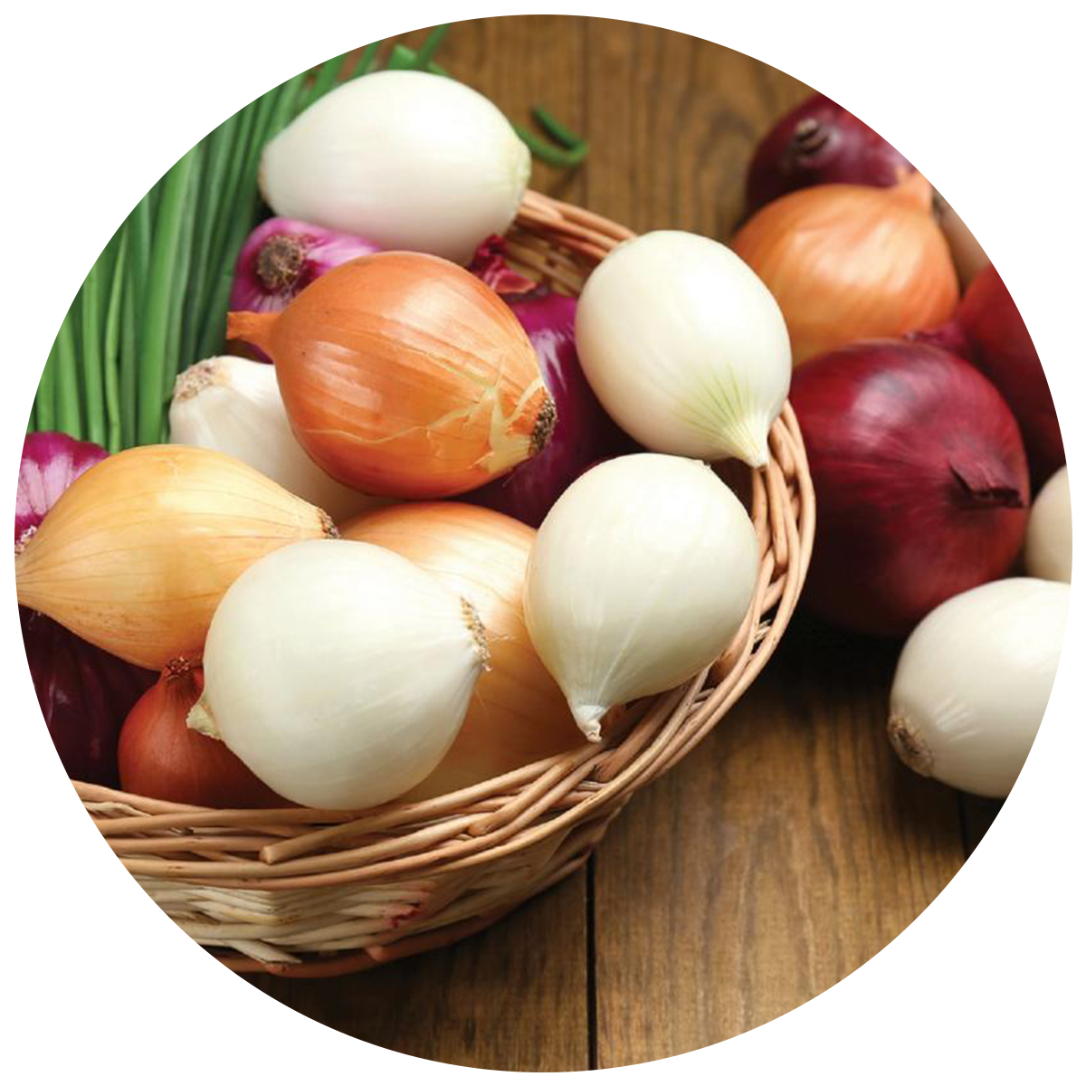 red and white onions as a source of Prebiotics in the best probiotics in singapore