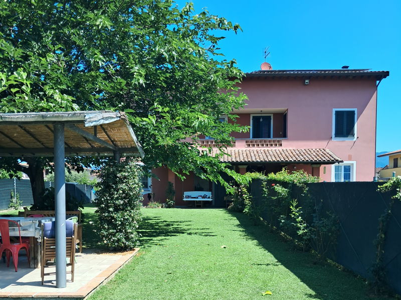 Cooking classes Lucca: Tuscan cooking among olive Trees, fresh pasta and desserts