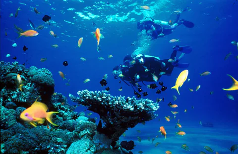 Kemer Diving with Expert Diving Option