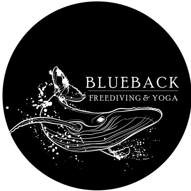 Blueback Freediving and Yoga