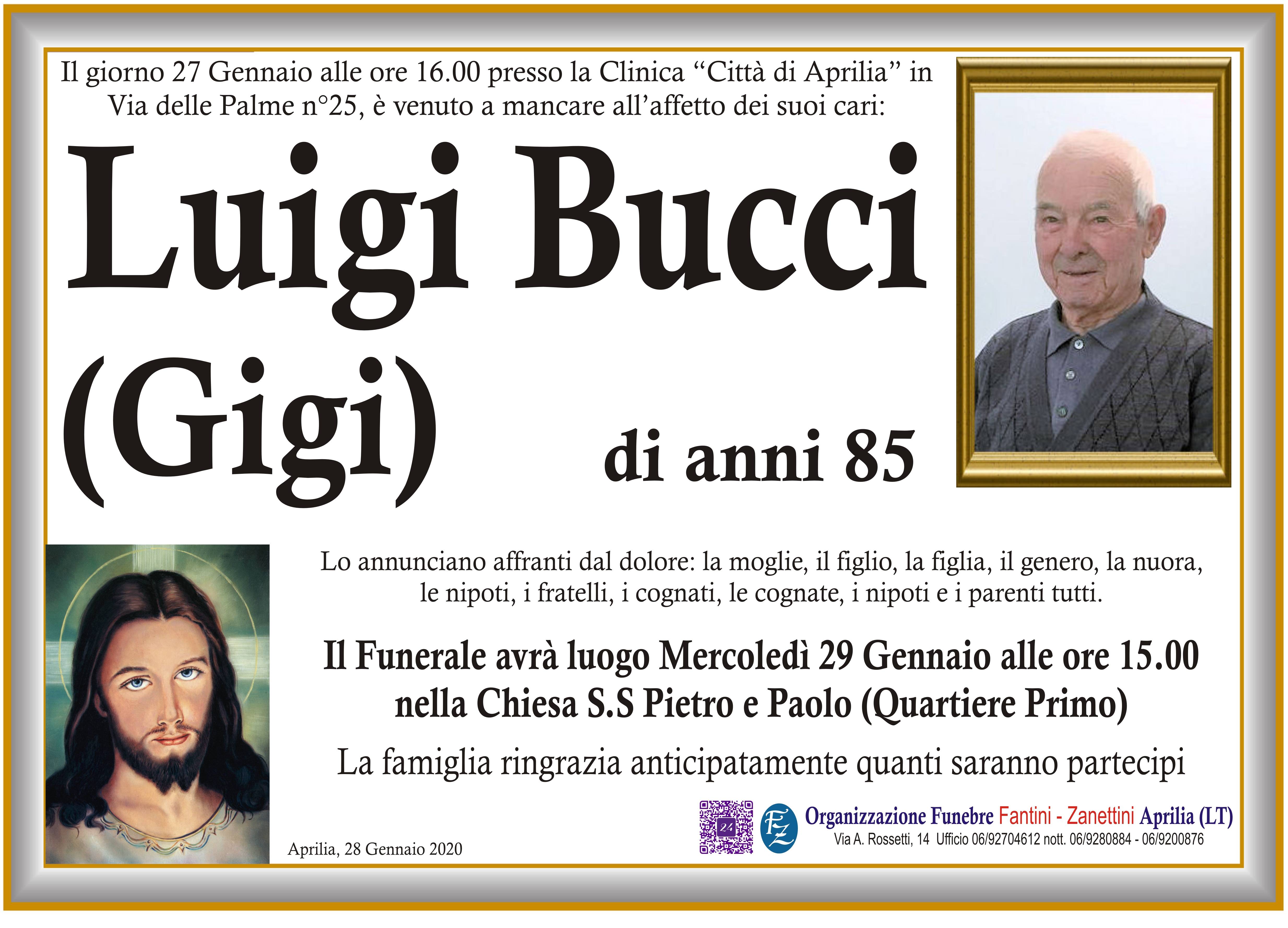 Luigi Bucci (Gigi)
