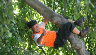 dresdner stadtindianer