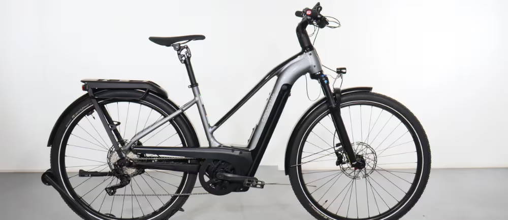 Cannondale Tesoro Neo X 1