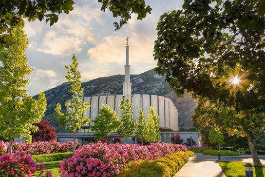 Provo Temple surounded by sunlit grounds. Plants and flowers fill the grounds.