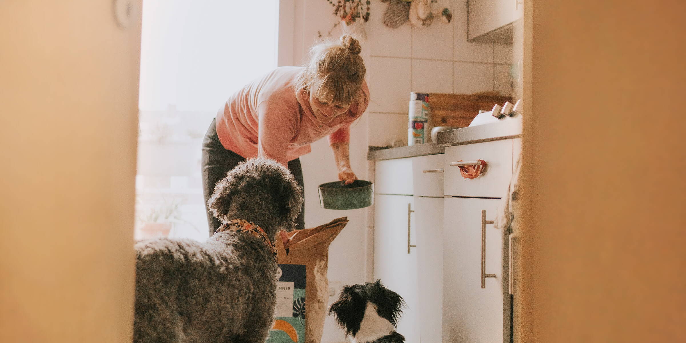 Twee honden eten Ofrieda hondenvoer