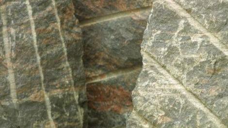 profile-7