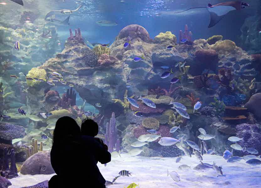 Combo Ticket: explore Burj Khalifa with Aquarium in Dubai - photo 4