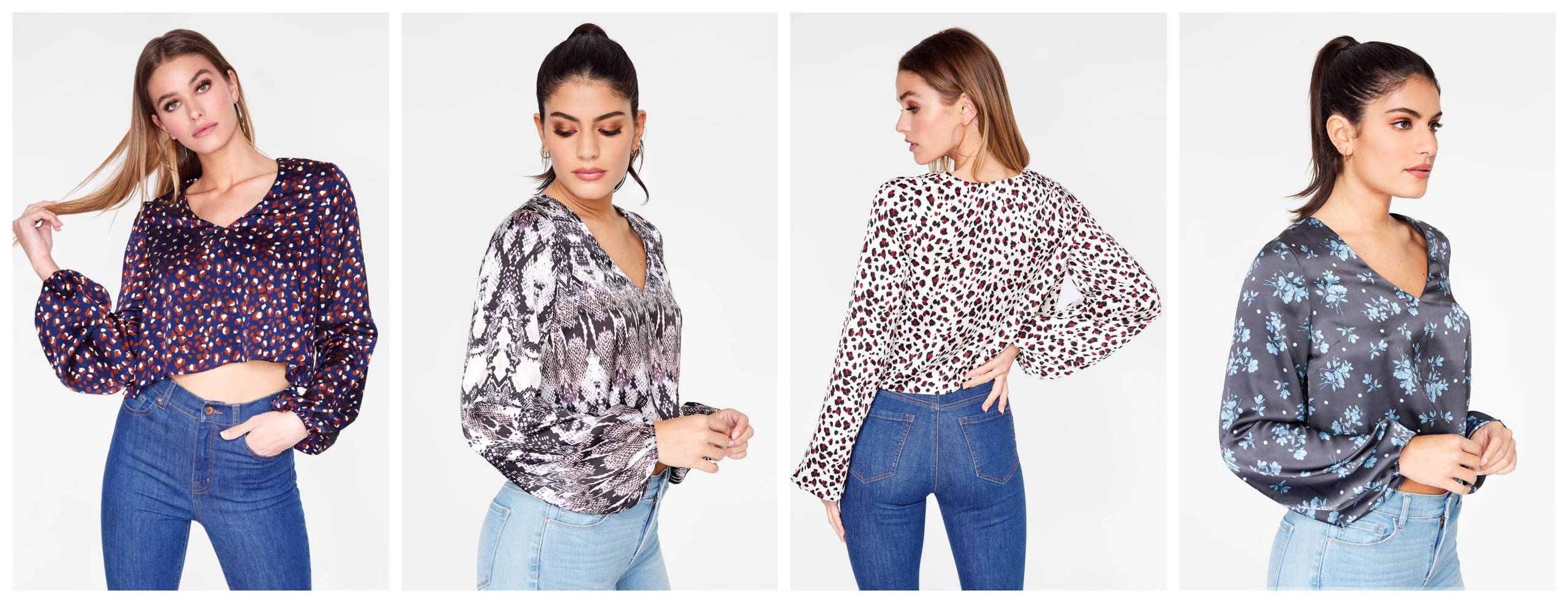 Print Long Sleeve Cropped Blouse