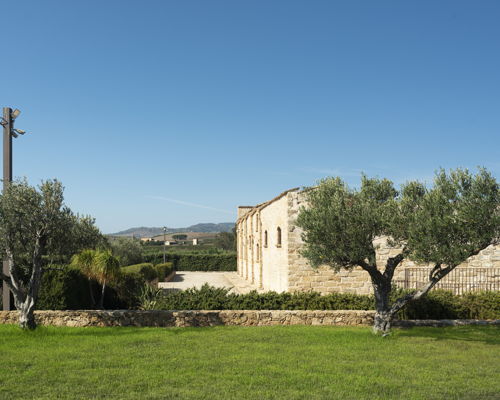 Tour enogastronomici Alcamo: Alcamo: Tour del vino e dell'olio con degustazione