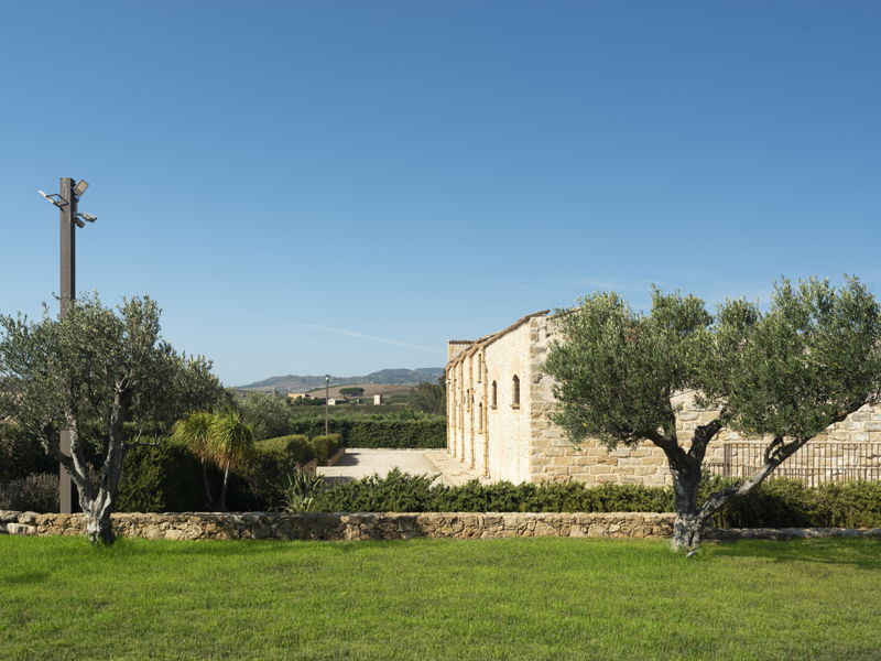 Tour enogastronomici Alcamo: Alcamo: Tour del vino e dell'olio con degustazione